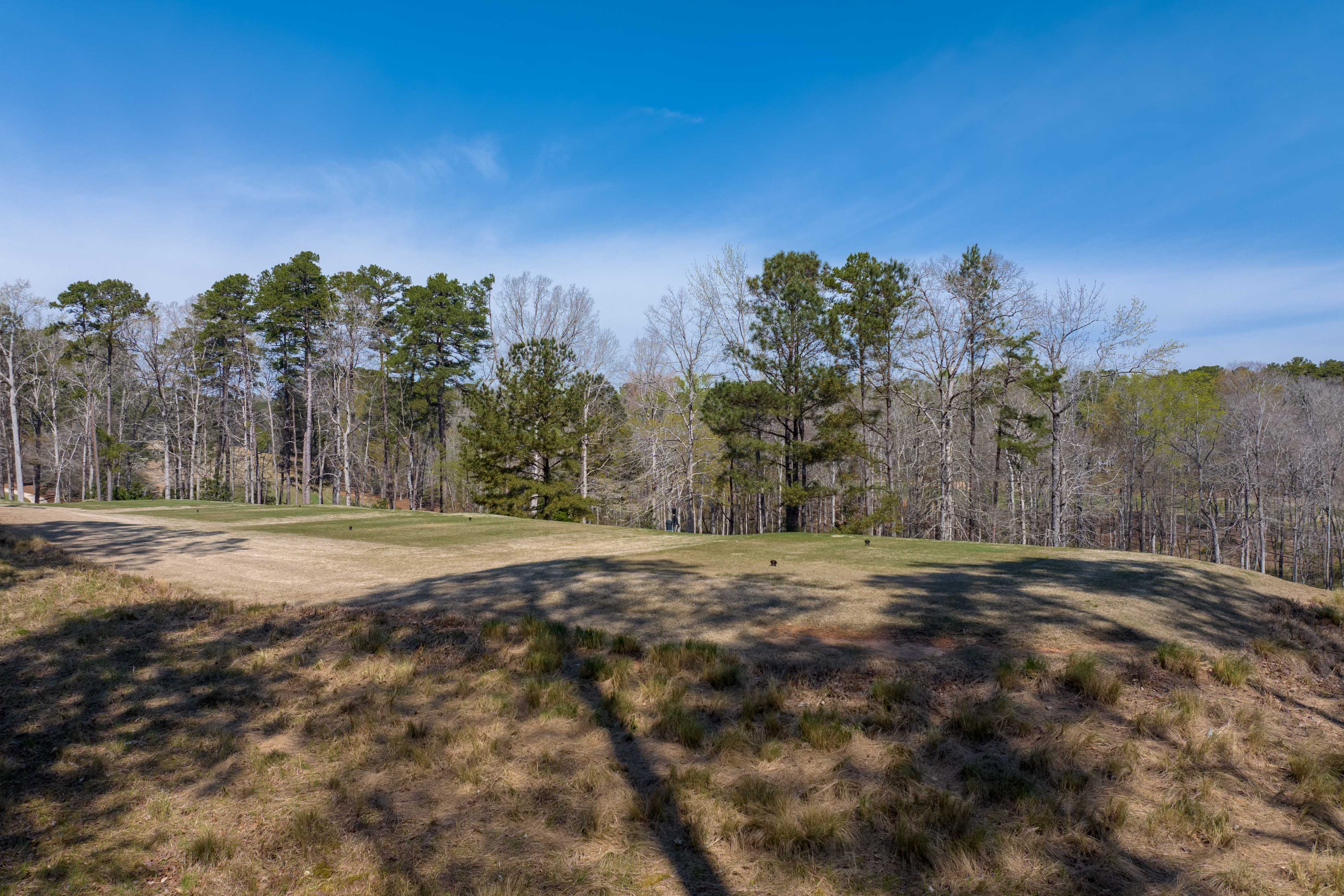 1100 Curtright Place image 63